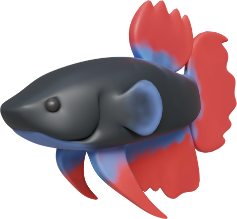 3D Betta Fish