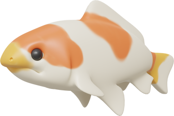 3D Koi Fish