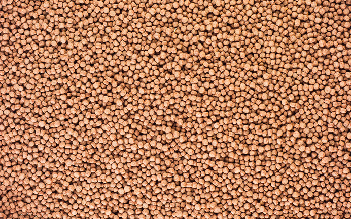 Fishfood Pellets Texture